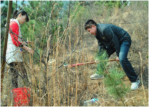 公司举行十周年庆植树活动(图1)