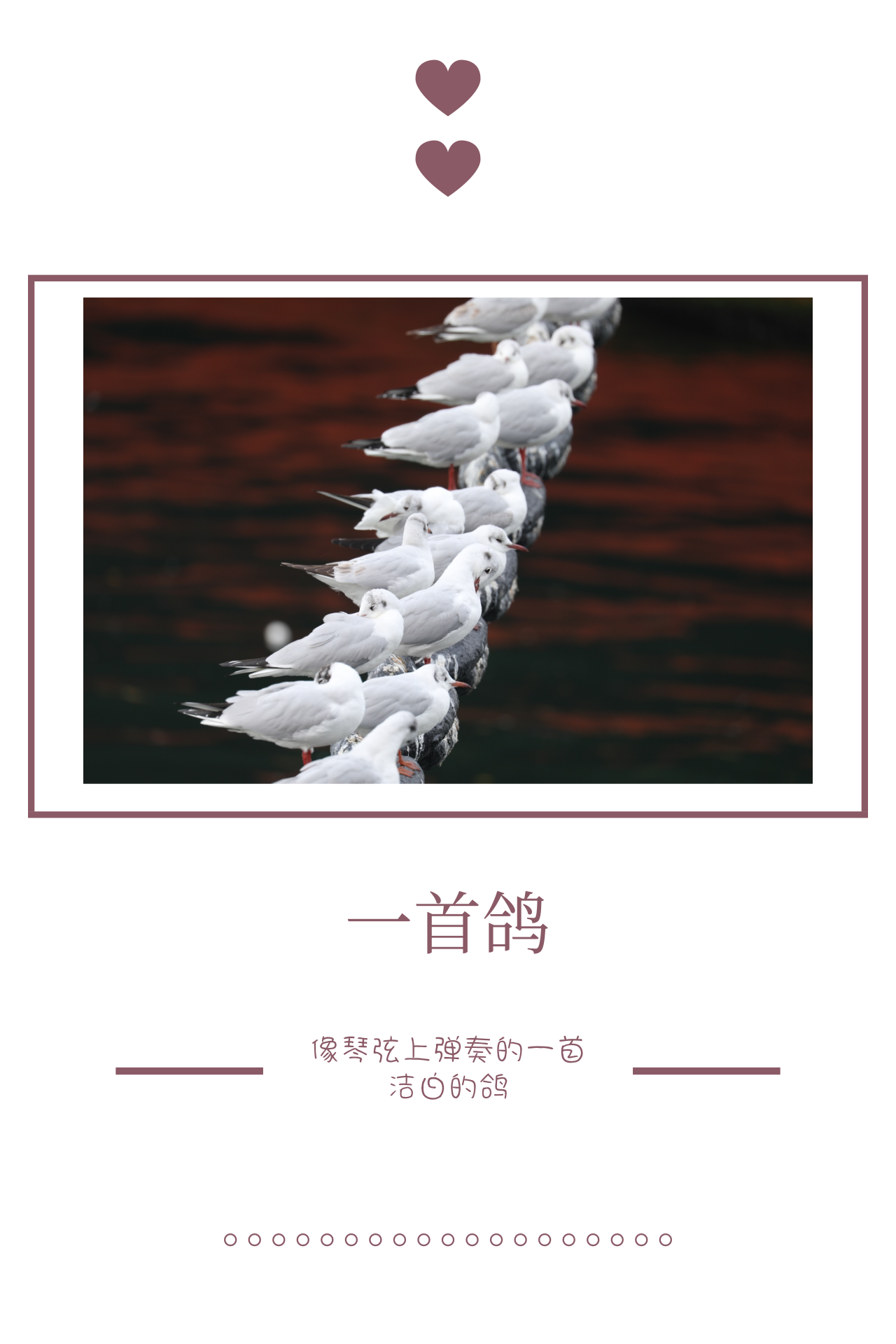 第一届“确信信息·爱聚焦”摄影比赛(图1)